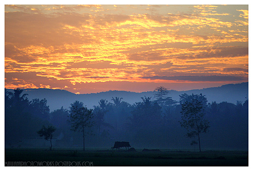 Tips for Photographing Stunning Sunrise Photographing Stunning Sunrise - Gorgeous Sunrise