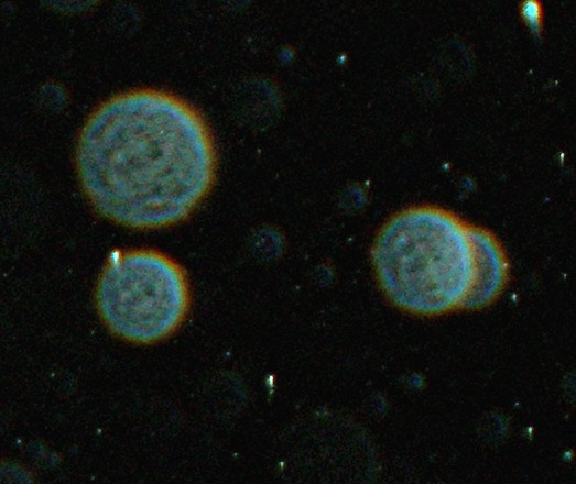 The Orbs Phenomenon Based on The Theory of Photography Orbs Photography